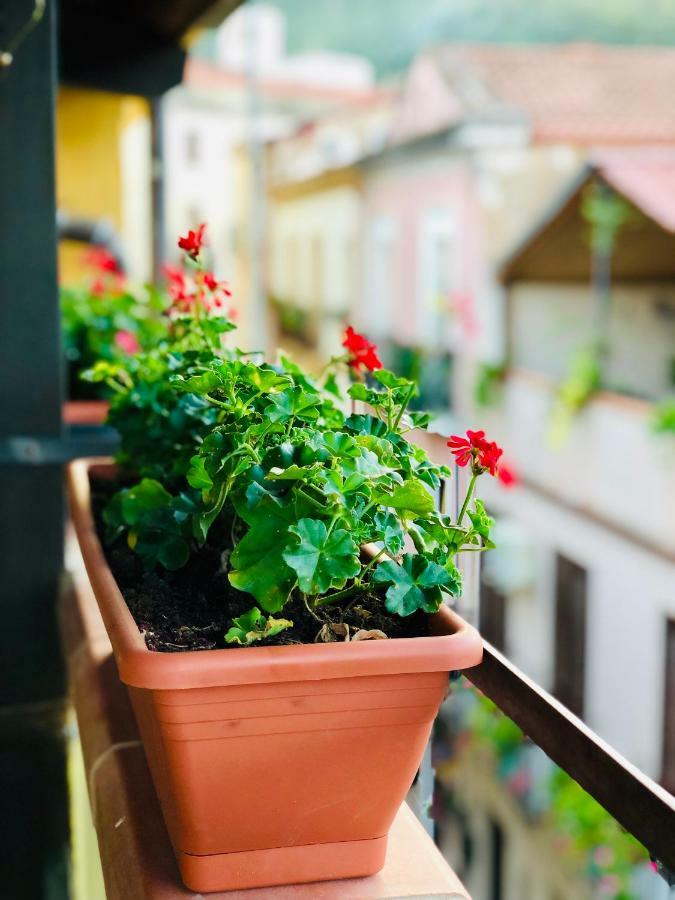 Il Terrazzino Iglesias Bed & Breakfast ภายนอก รูปภาพ